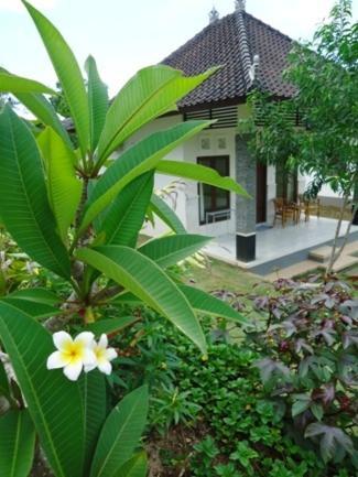 Bingin Family Bungalow Uluwatu  Ngoại thất bức ảnh